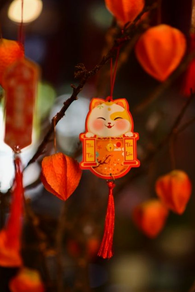ứng dụng Sodo